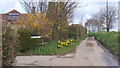 Fossetts Lane passing Hill Cottage, looking north