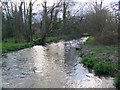 River Ebble, Coombe Bissett