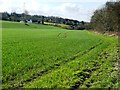 Footpath to Michaelstone