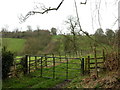 Ruddicks Copse from Upper Woodside