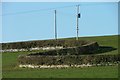 Wall and Hedge, Kilfillan Hill