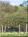 East Allen Dale below Studdondene