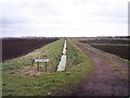 Farm Track on Plex Moss