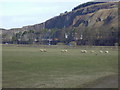 The Quarry near Bower on the A7 in the Scottish Borders