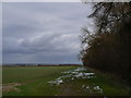 Walkington Wold and the last of the Bank Holiday snow