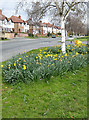 Ledbury Road, Tupsley