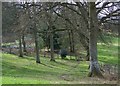 Footpath, Cannon Hill Wood