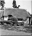 Thatched cottage Selworthy, Somerset, taken 1968