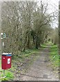 Chudleigh Knighton - bridleway