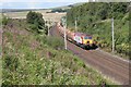 NY6006 : Southbound timber train at Greenholme by roger geach