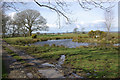 Pond north of Dihewyd