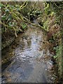 River Camel near Hendraburnick