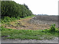 Field boundary, looking towards Manston