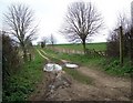 Footpath to Rockbourne