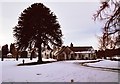 Under the Monkey Puzzle in the snow by Loch na Bo