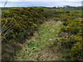 Old railway, Donaghadee