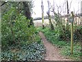 Footpath from Green Lane