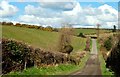 The Inch Abbey Road near Downpatrick (2)