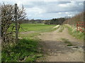 Footpath to Mosterley