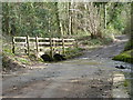 A closer look at Bullhill Brook ford