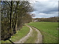 Track beside Padside Beck