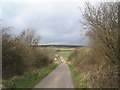 Looking down Wood Lane