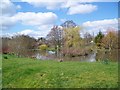 Pond at Tisbury Mill