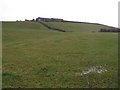 Woodtown Townland