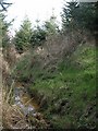 Ditch in woodland near Huddisford