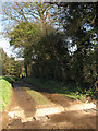 Footpath through Dudwick Estate