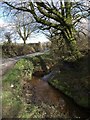 Stream and lane, Duerdon