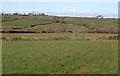 Valley near Woolsery