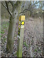 Junction of footpaths north-east of Mace Farm