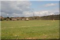 Little Frenchies Field, Denmead