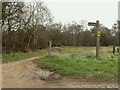 At the point where two bridleways meet