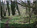 ST9330 : Path, Quarry Wood by Maigheach-gheal