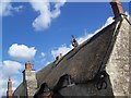 Roof, Academy Cottage