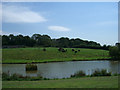 Bison Centre, West Knoyle