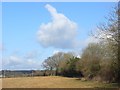 Farmland, Stokenchurch