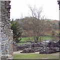 Ruins at Talley Abbey