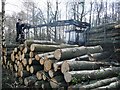 Moving the logs