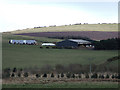 Cluseburn Farm