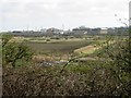 Pfizer, the pharmaceutical company viewed from Richborough castle