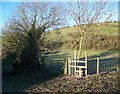 Stile with dog gate, Gypsy Lane