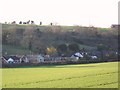 Housing, Coombe Bissett