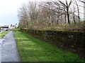 Woodland alongside the Forth and Clyde Canal in Clydebank