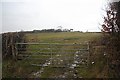 Farmland east of Oakford (Derwen Gam)