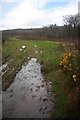 Flooded field near Rhiwbren Quarry