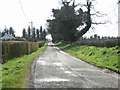N9369 : Minor Road in Haystown & Carnuff Little, Co. Meath by JP