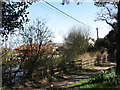 View across Bilney Lane